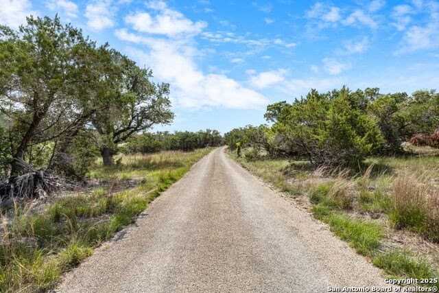 99.68 acres in Comal County gallery image 4