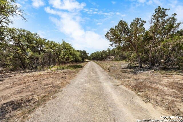99.68 acres in Comal County gallery image 3