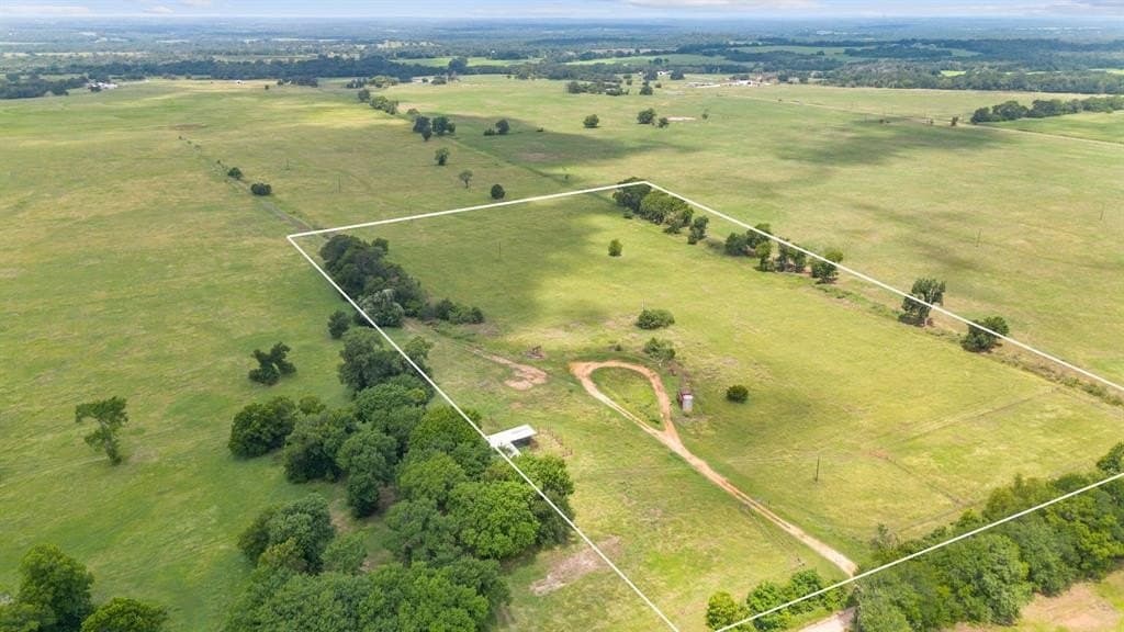 16.88 acres in Burleson County gallery image 2