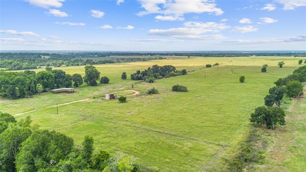 16.88 acres in Burleson County gallery image 4