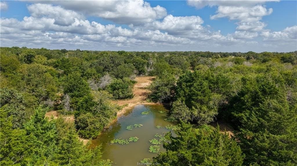 22.8 acres in Brazos County - photo 14