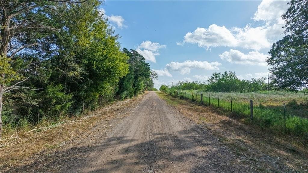 22.8 acres in Brazos County - photo 10