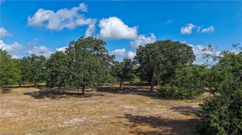 22.8 acres in Brazos County - photo 15