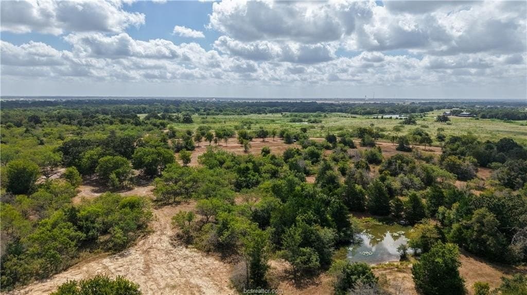 22.8 acres in Brazos County - photo 13