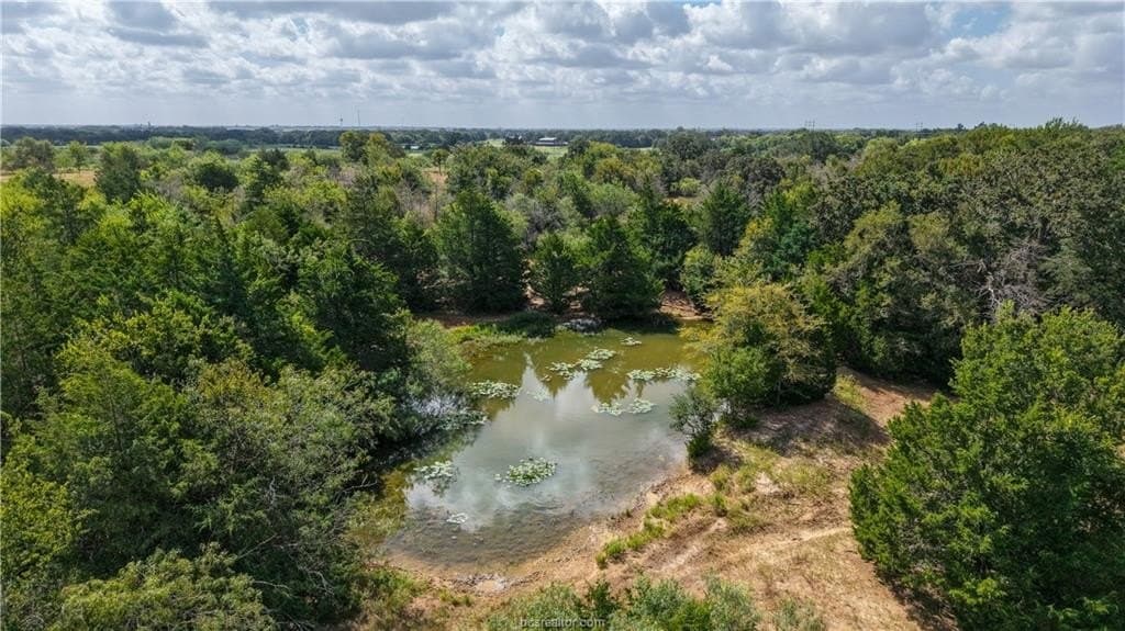 22.8 acres in Brazos County - photo 8