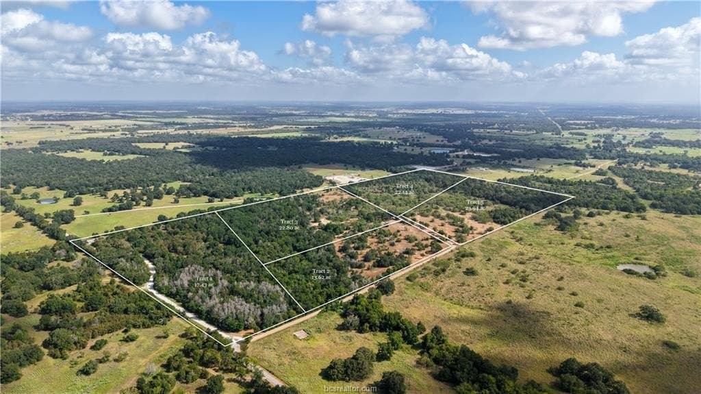 22.8 acres in Brazos County - photo 16
