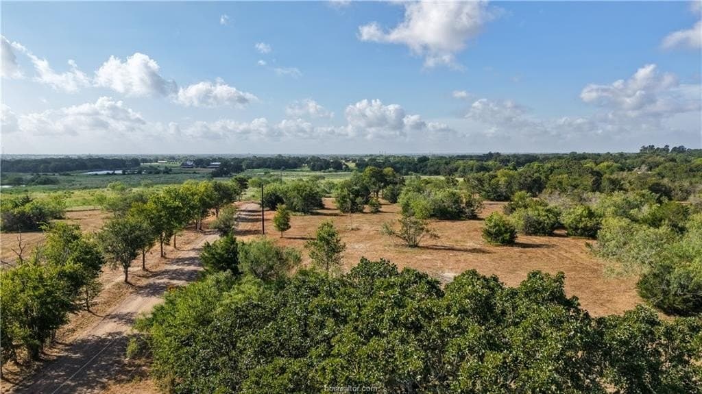 22.8 acres in Brazos County - photo 5