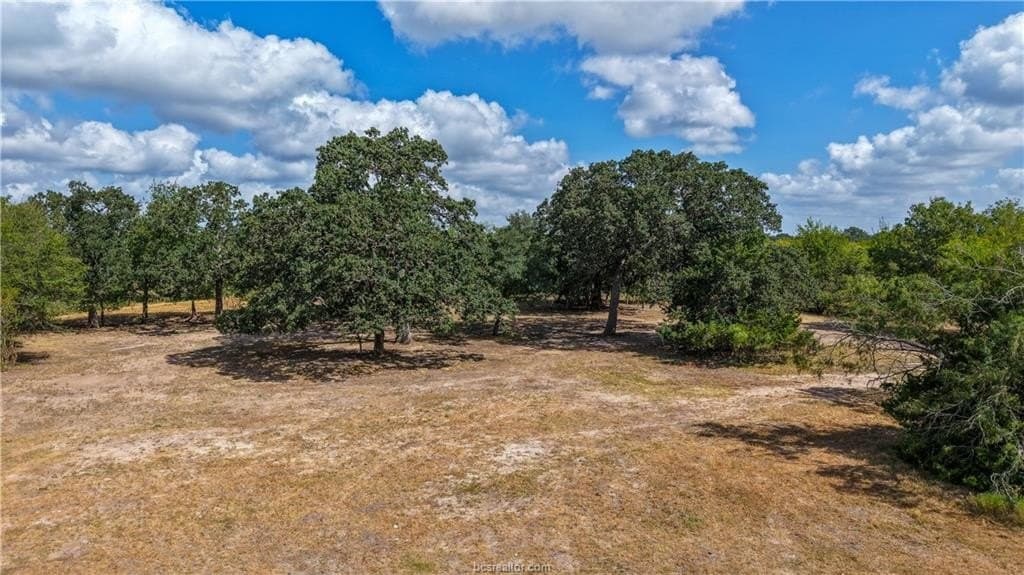 22.8 acres in Brazos County - photo 6