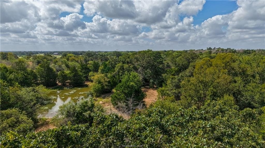 22.8 acres in Brazos County - photo 17