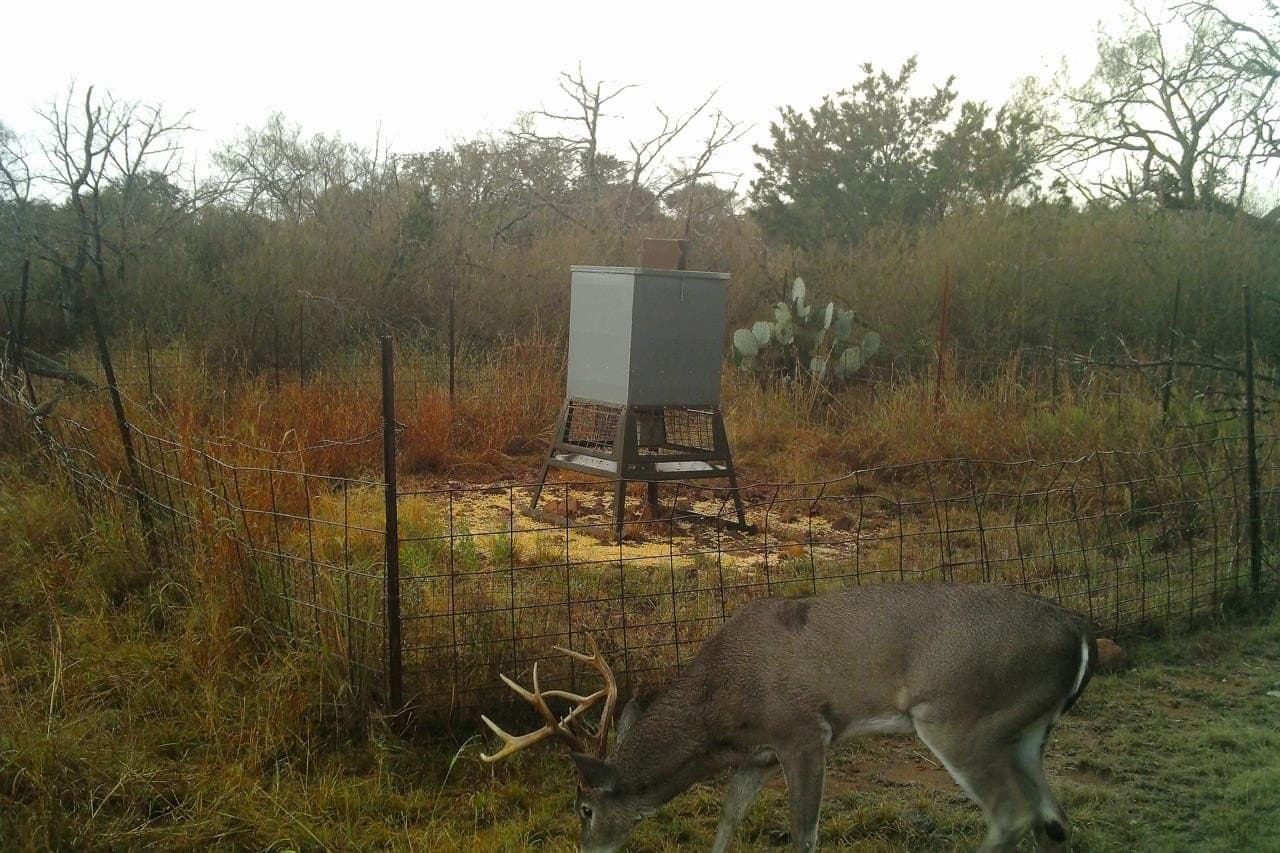 125.68 acres in Llano County - photo 41