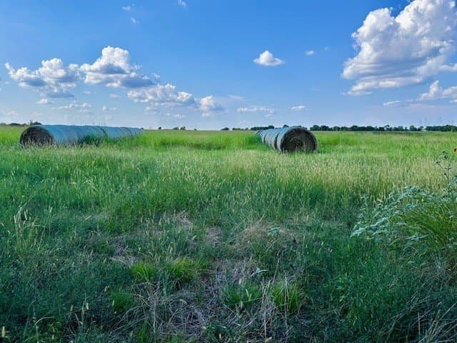 19.93 acres in Fannin County gallery image 3