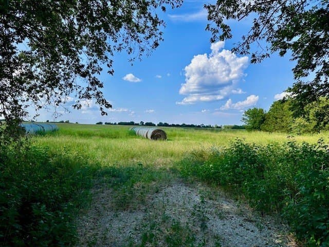 19.93 acres in Fannin County