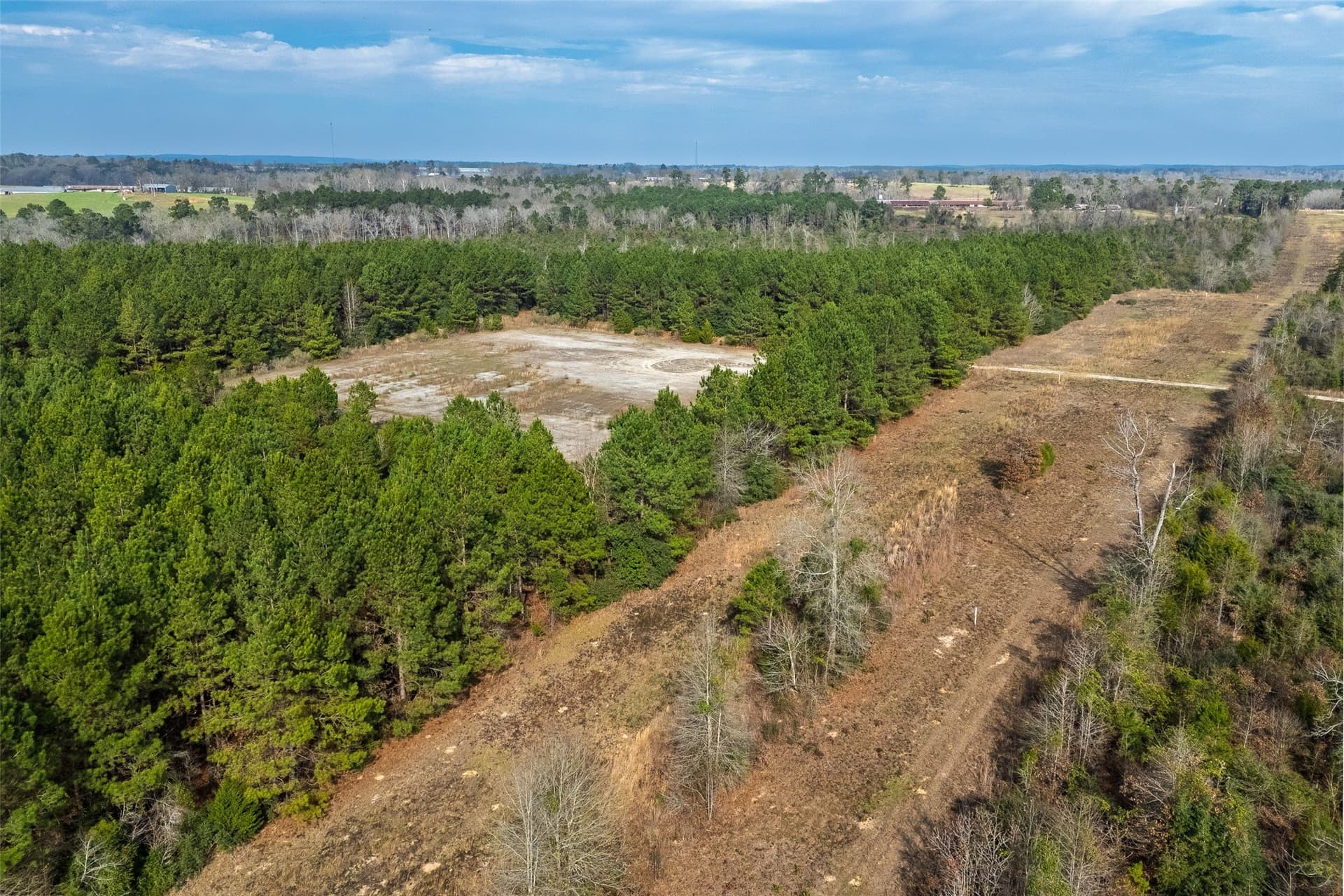 86.5 acres in Shelby County gallery image 4