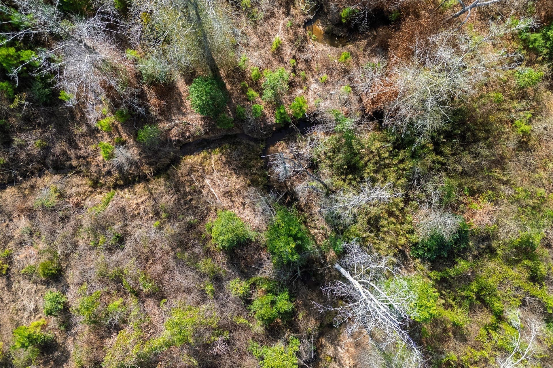 86.5 acres in Shelby County - photo 23
