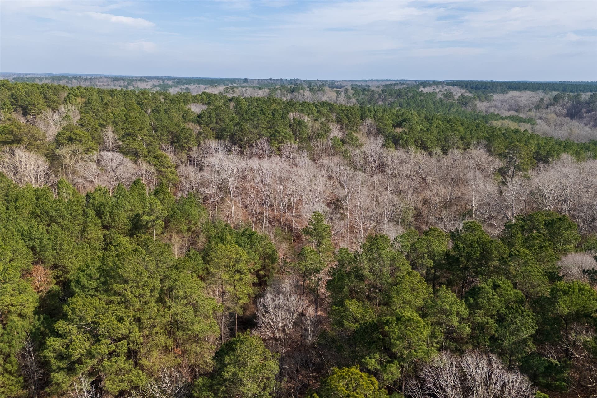 86.5 acres in Shelby County - photo 11