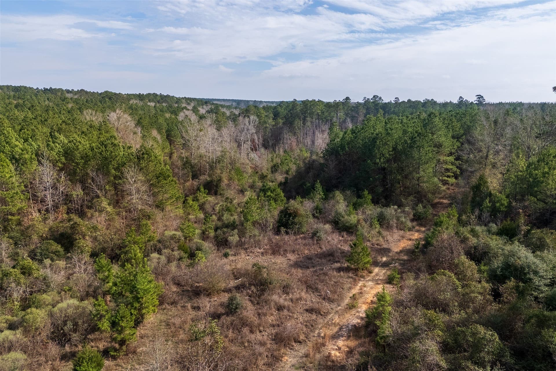 86.5 acres in Shelby County - photo 9
