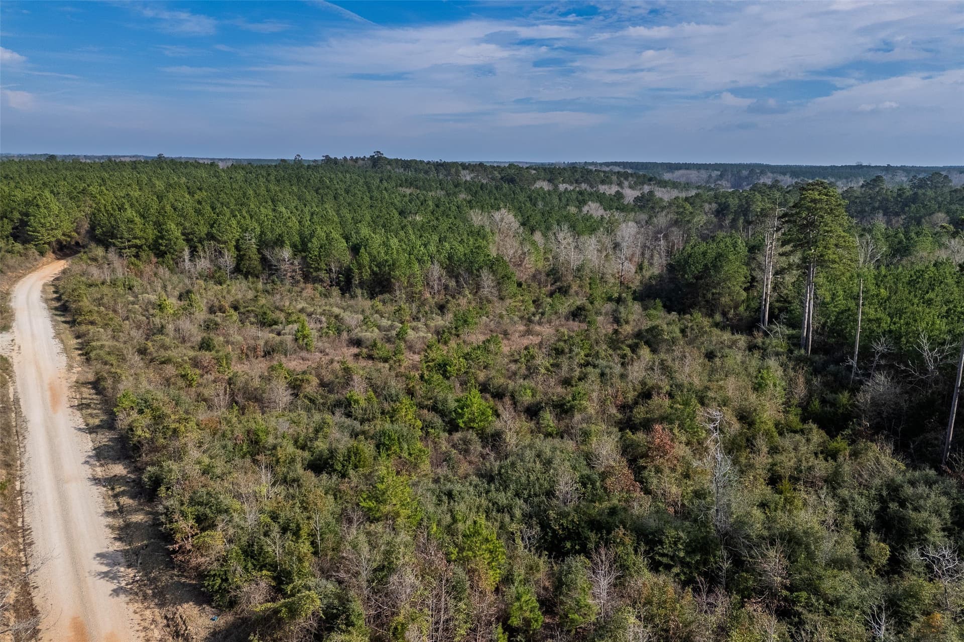 86.5 acres in Shelby County - photo 8