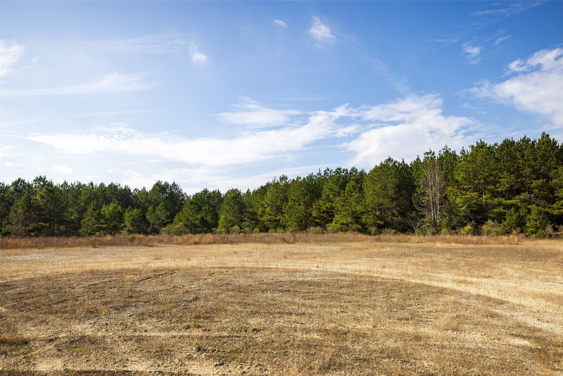 86.5 acres in Shelby County - photo 18