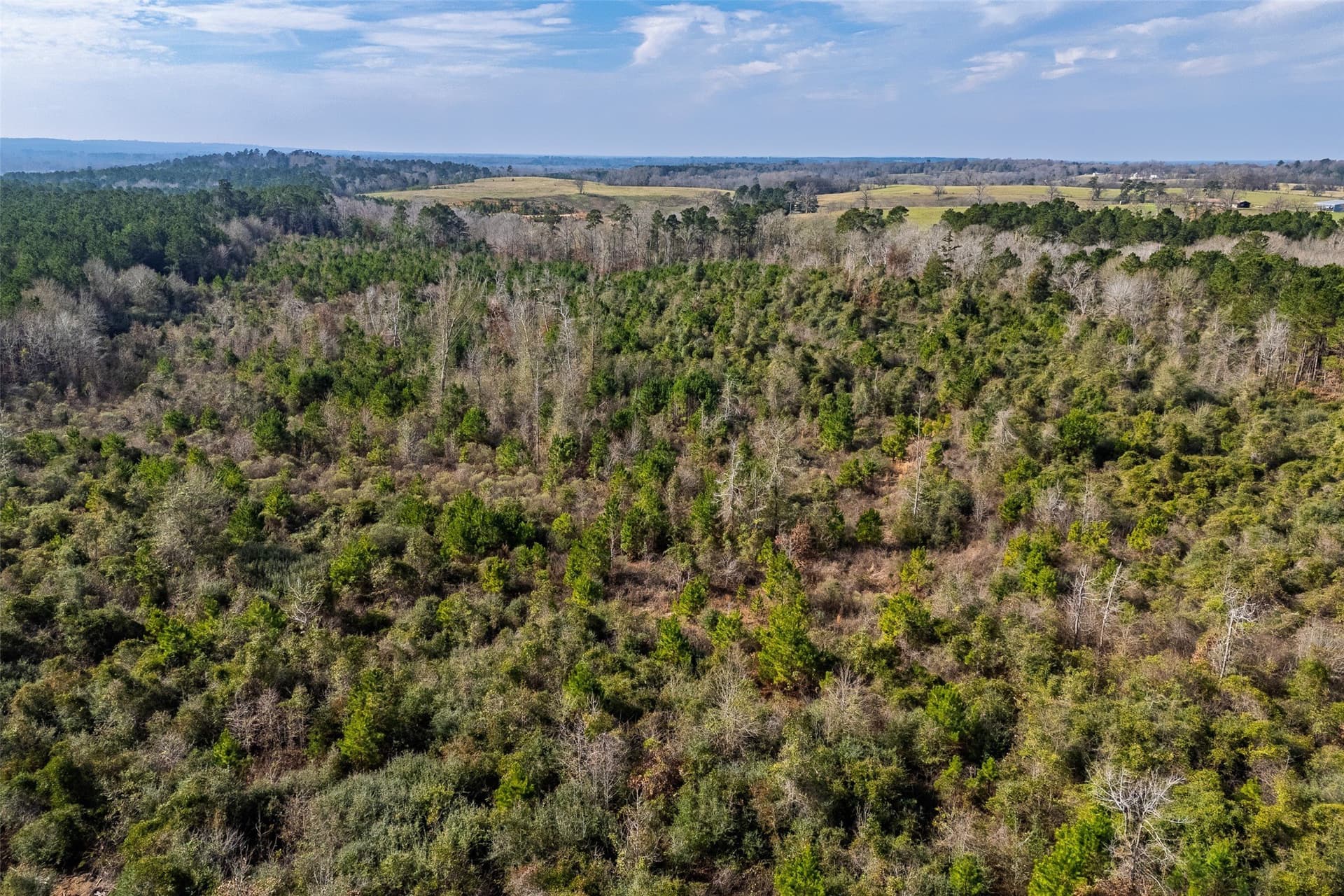 86.5 acres in Shelby County - photo 22