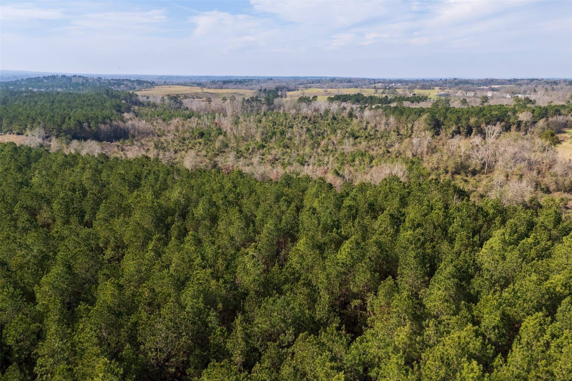 86.5 acres in Shelby County - photo 21