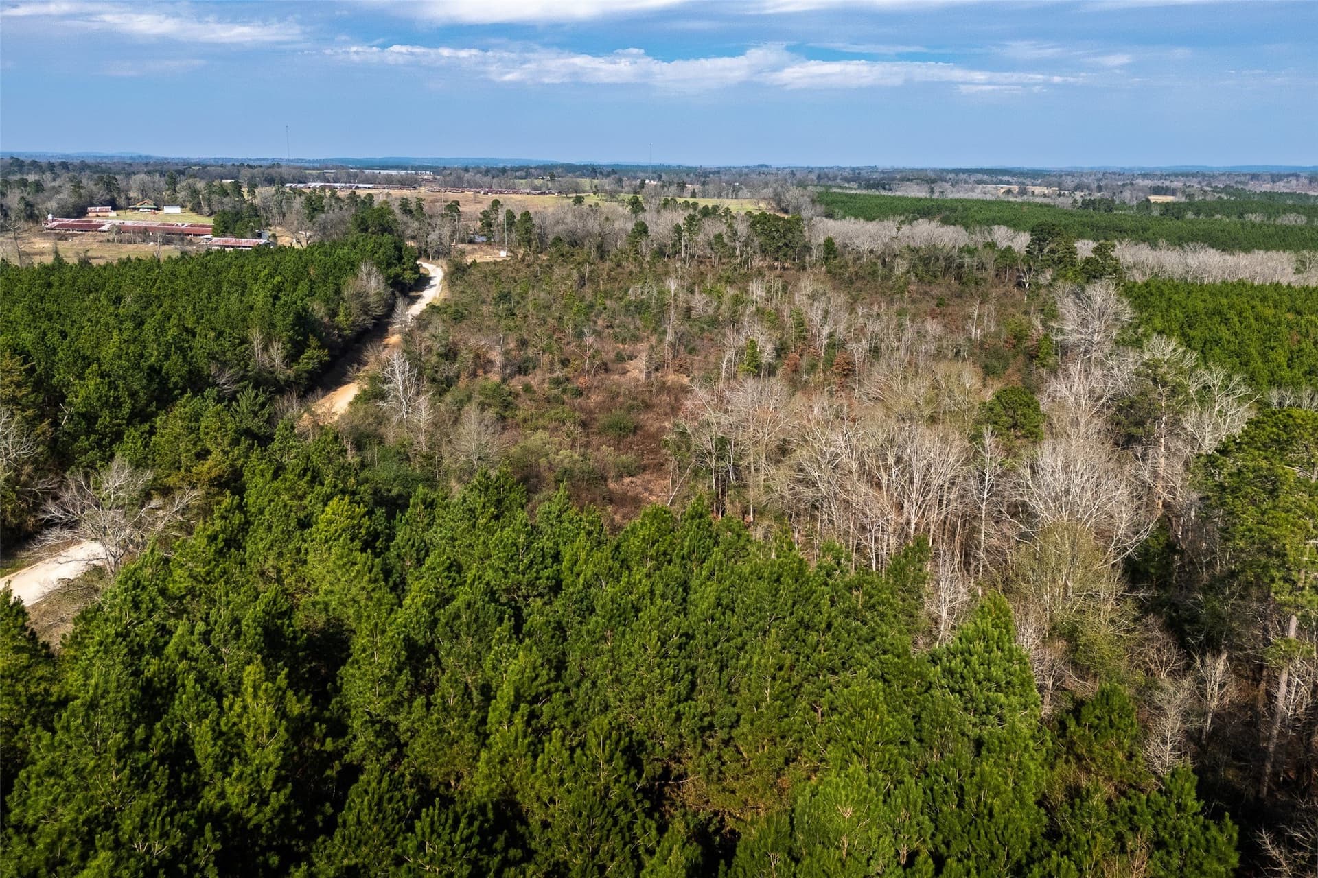 86.5 acres in Shelby County - photo 15