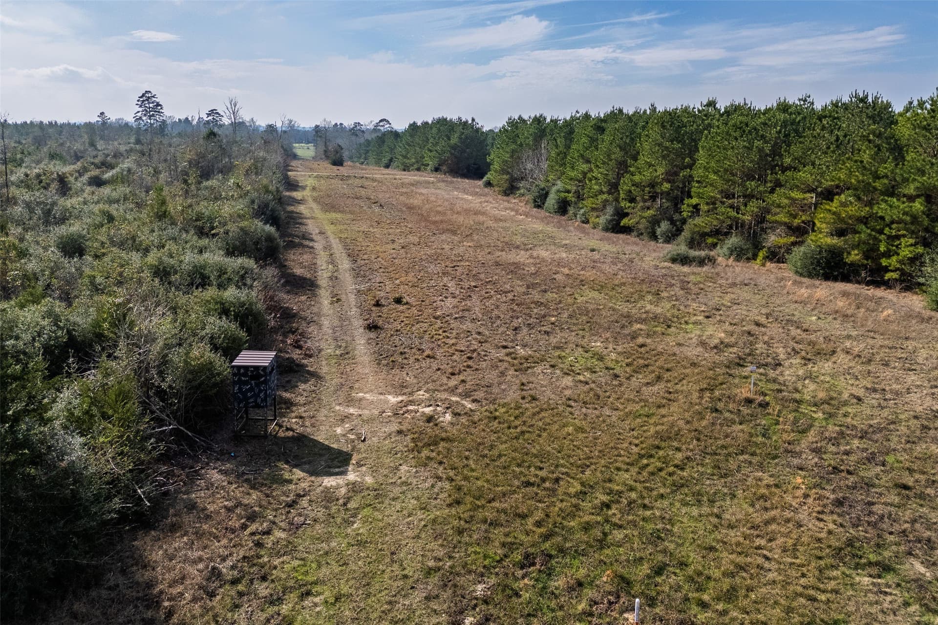 86.5 acres in Shelby County - photo 20