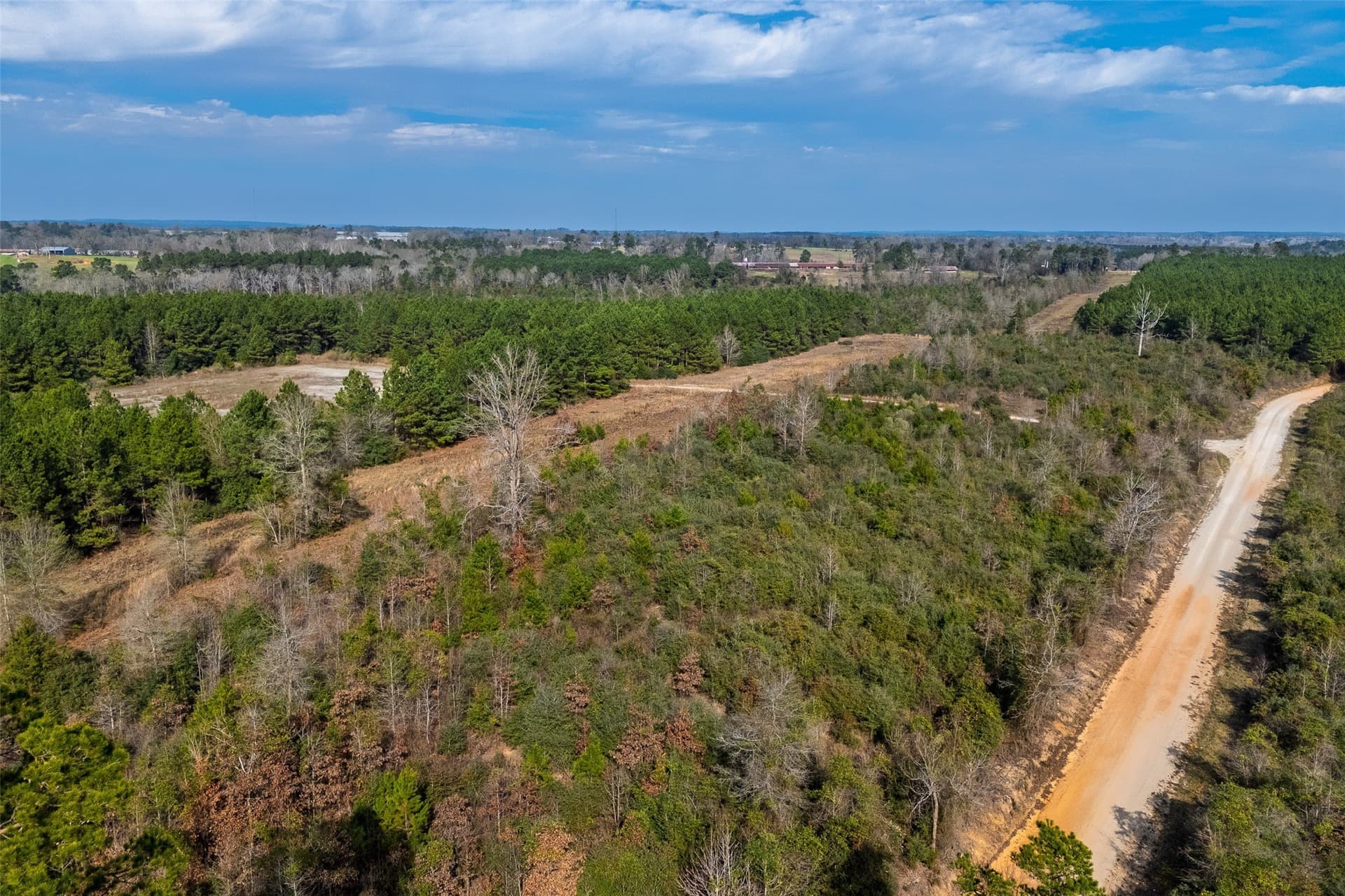86.5 acres in Shelby County - photo 6