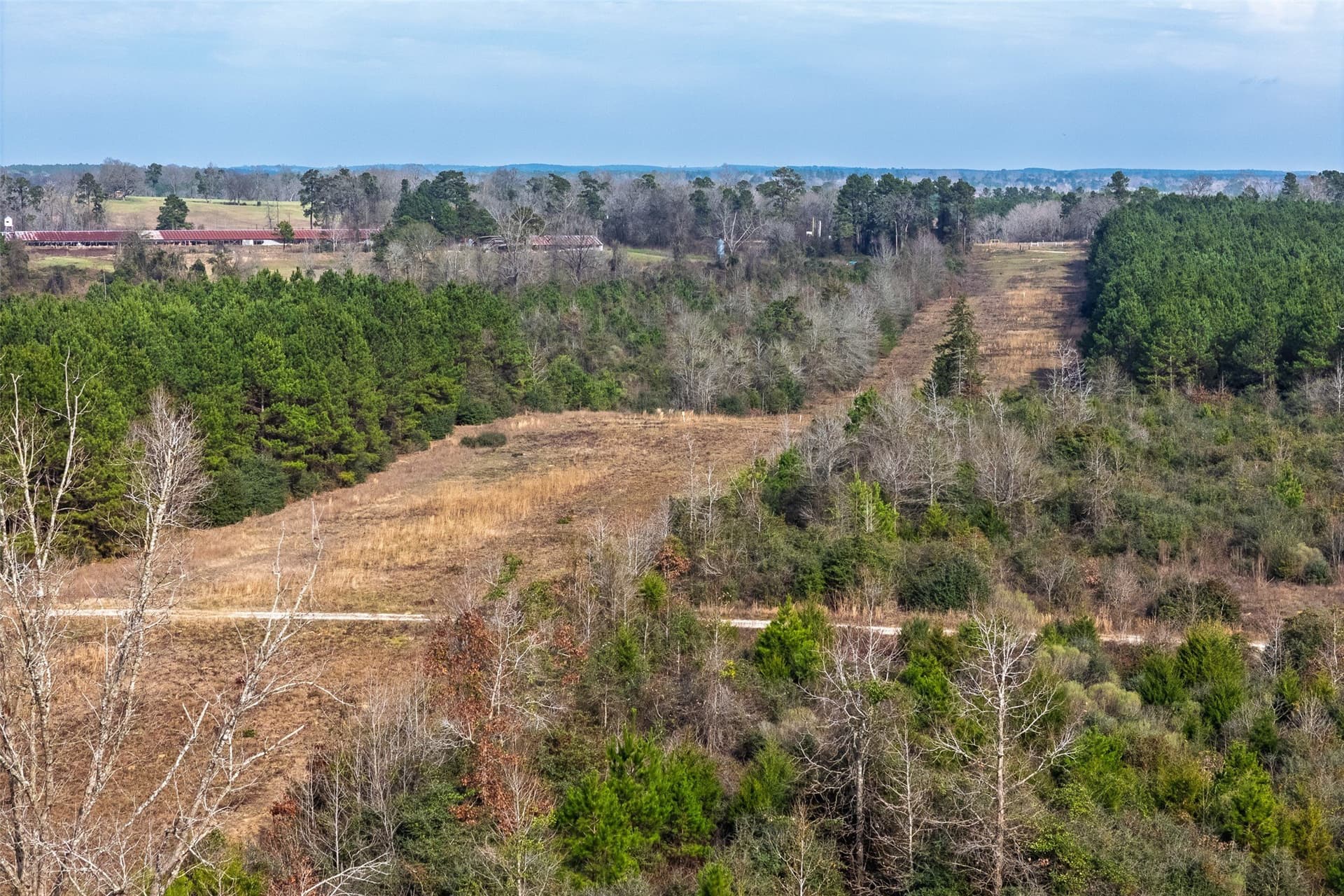 86.5 acres in Shelby County featured view
