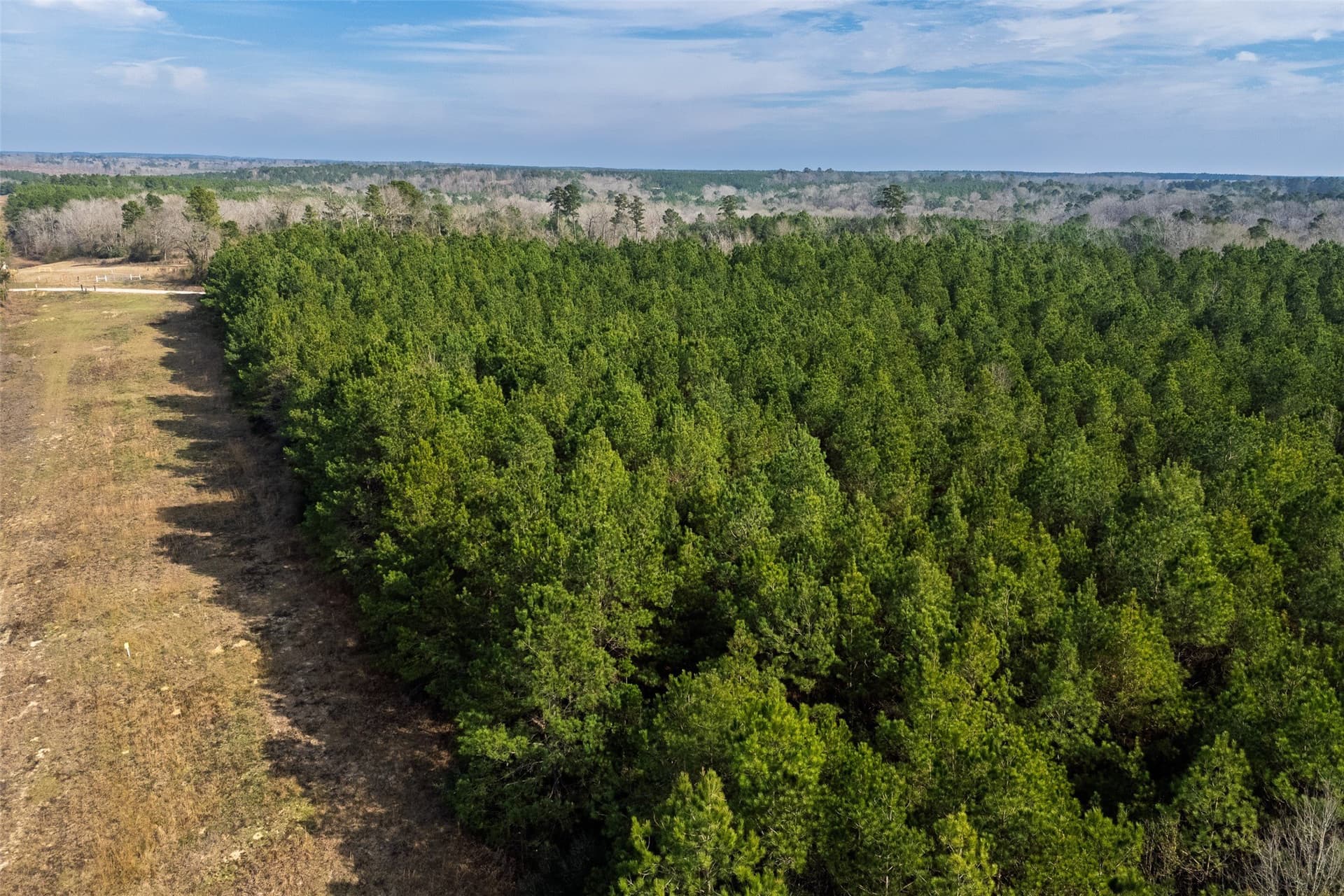 86.5 acres in Shelby County gallery image 3