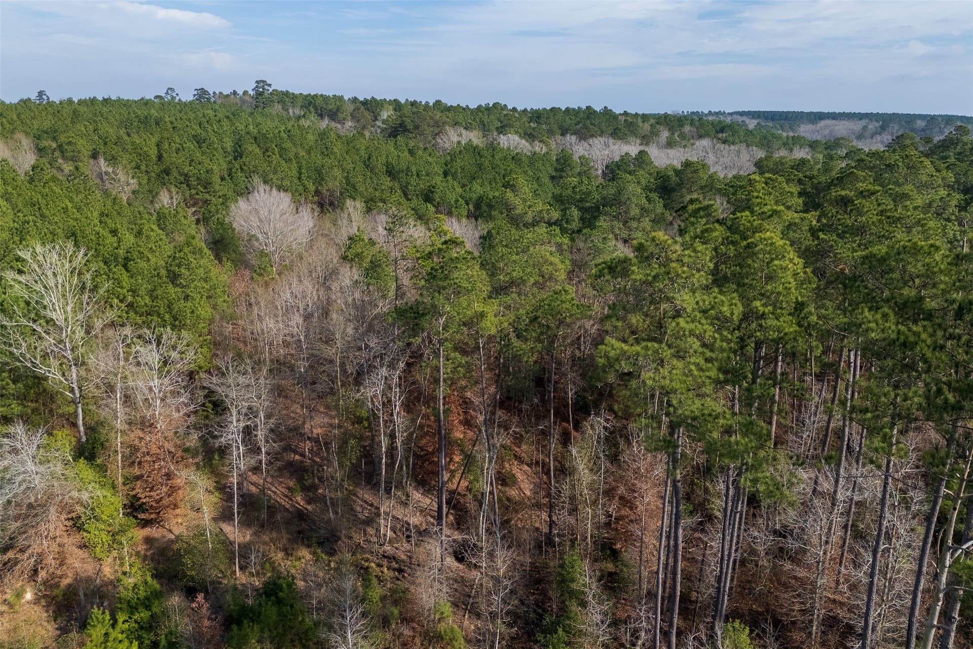 86.5 acres in Shelby County - photo 10