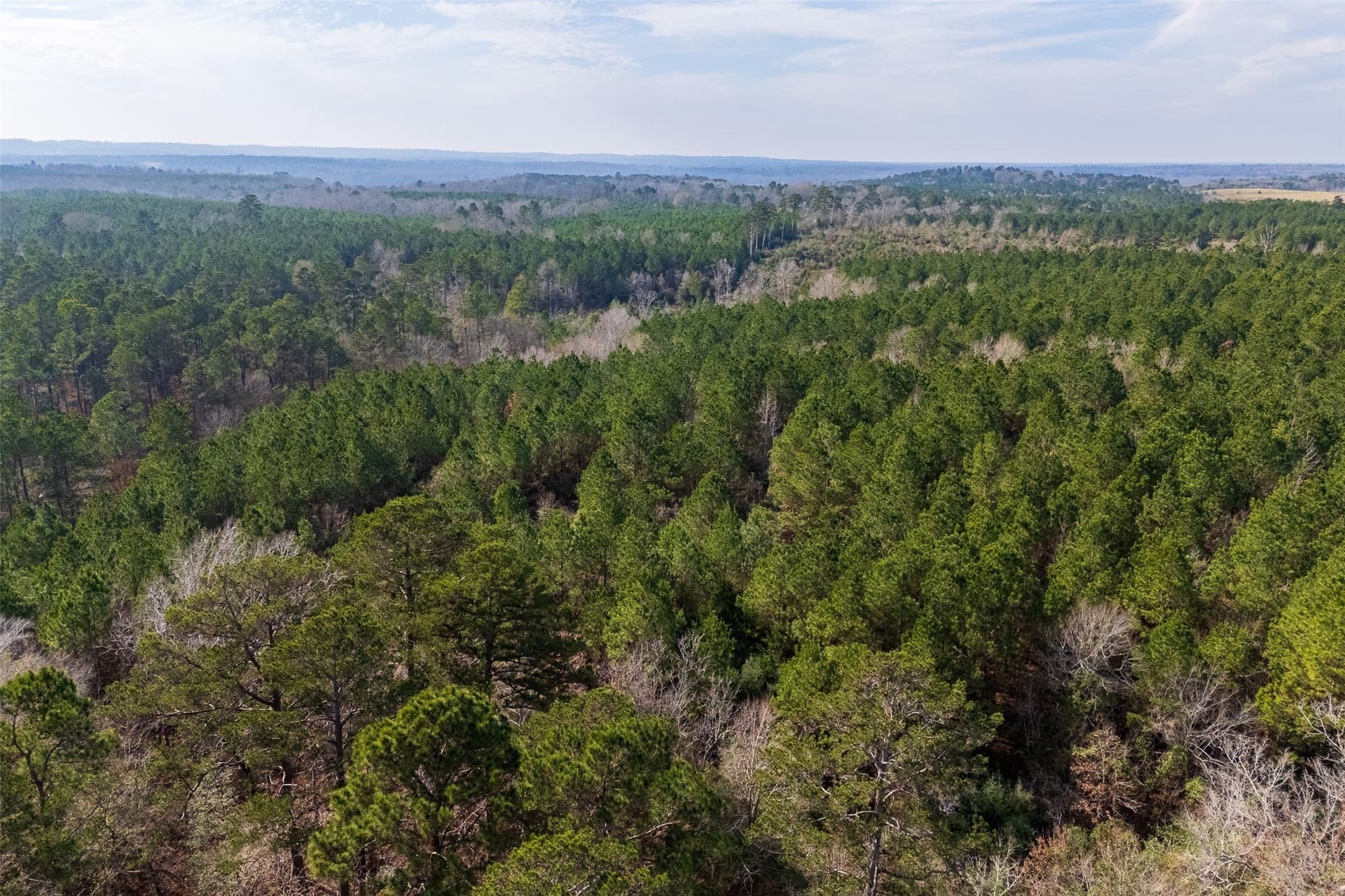 86.5 acres in Shelby County - photo 14