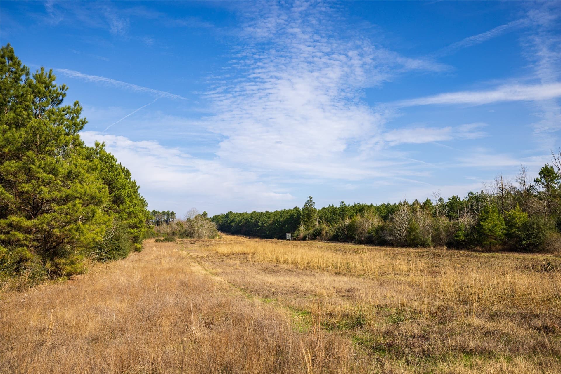 86.5 acres in Shelby County - photo 16