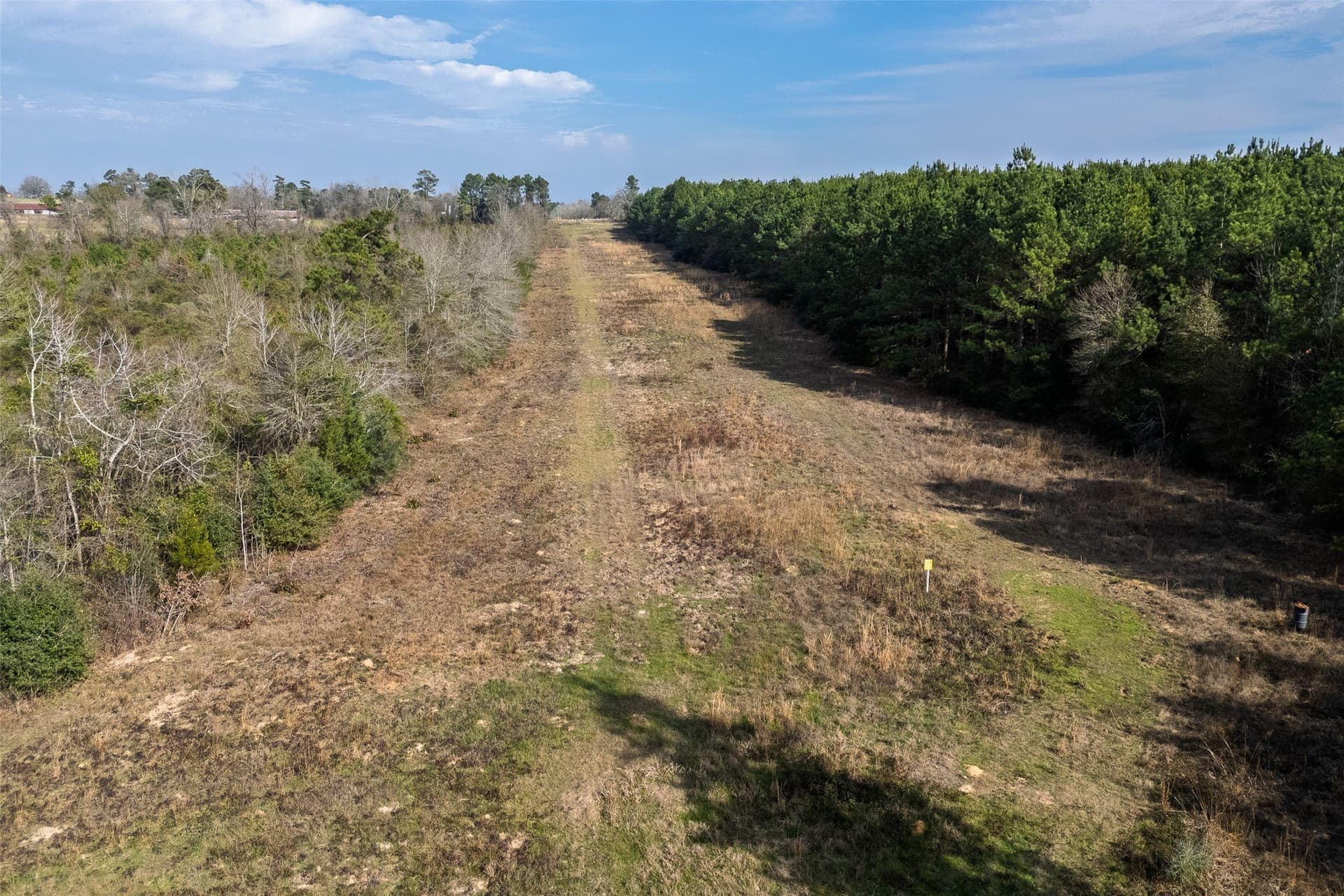 86.5 acres in Shelby County gallery image 2