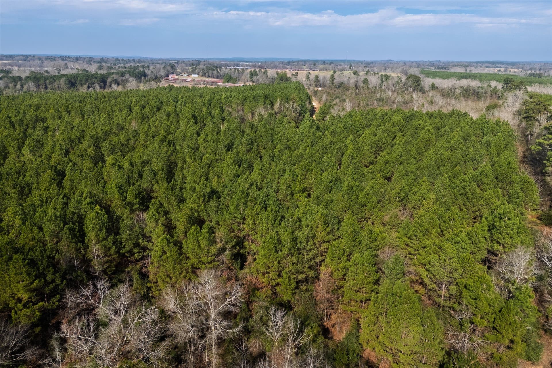 86.5 acres in Shelby County - photo 13