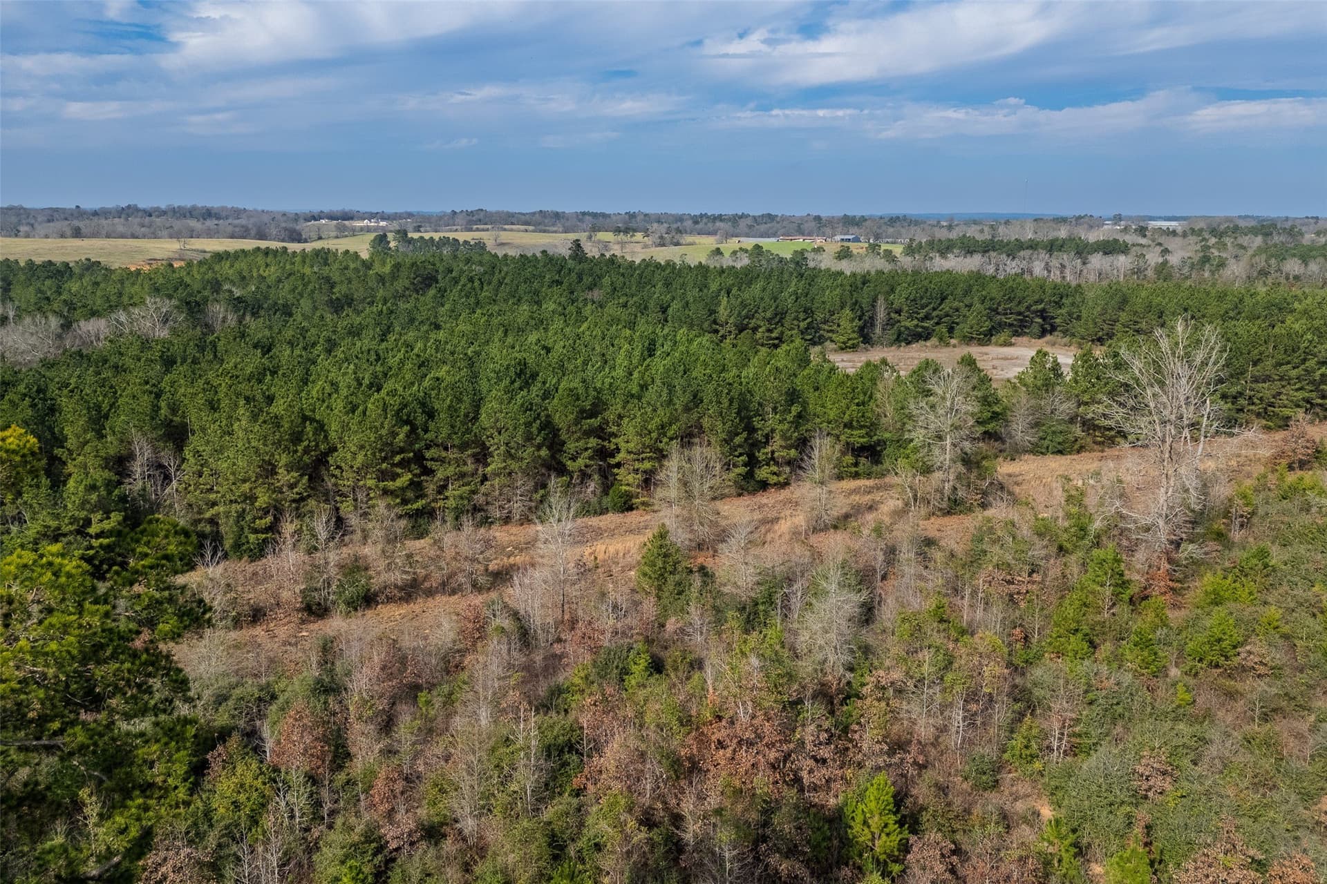86.5 acres in Shelby County - photo 7
