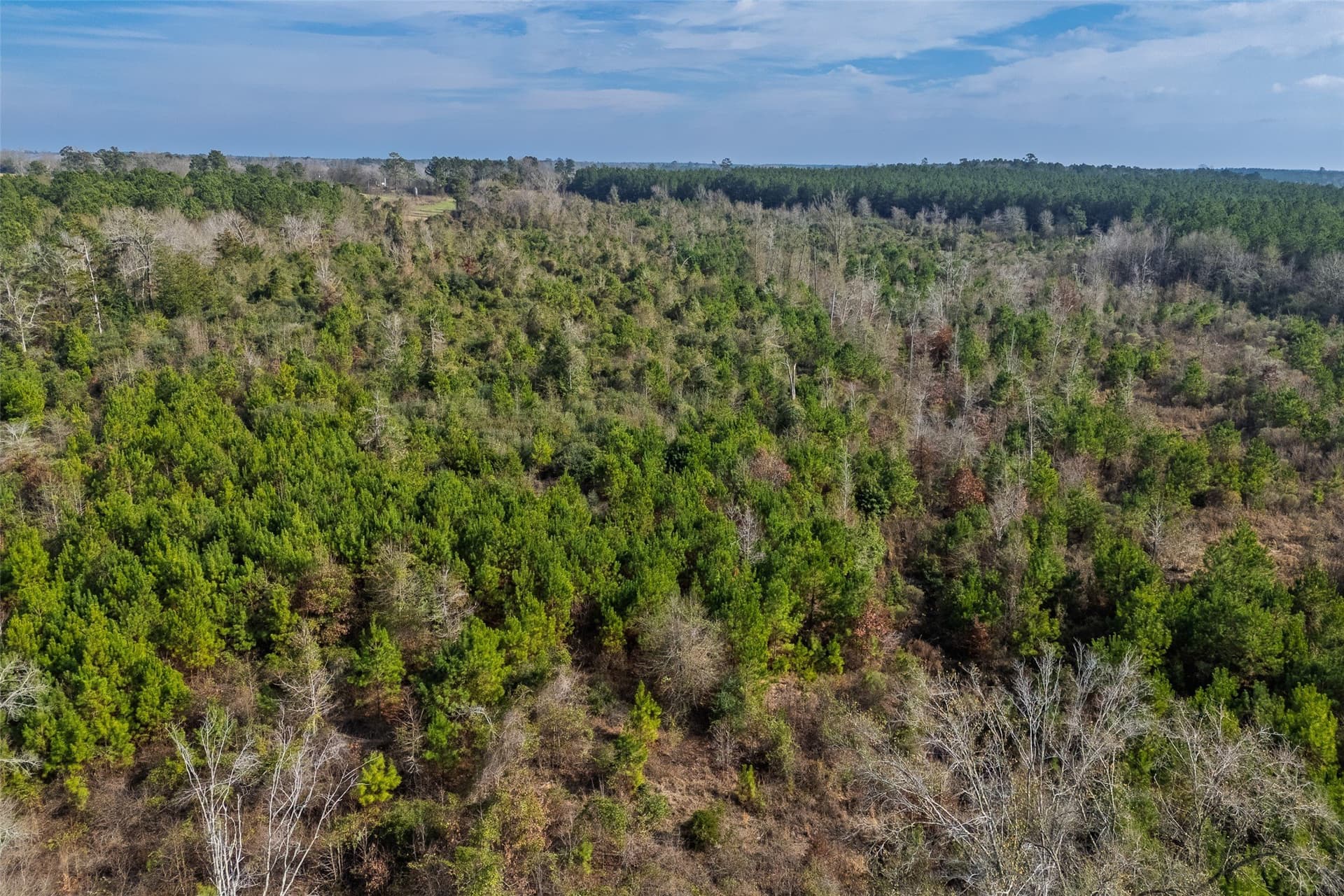 86.5 acres in Shelby County - photo 24
