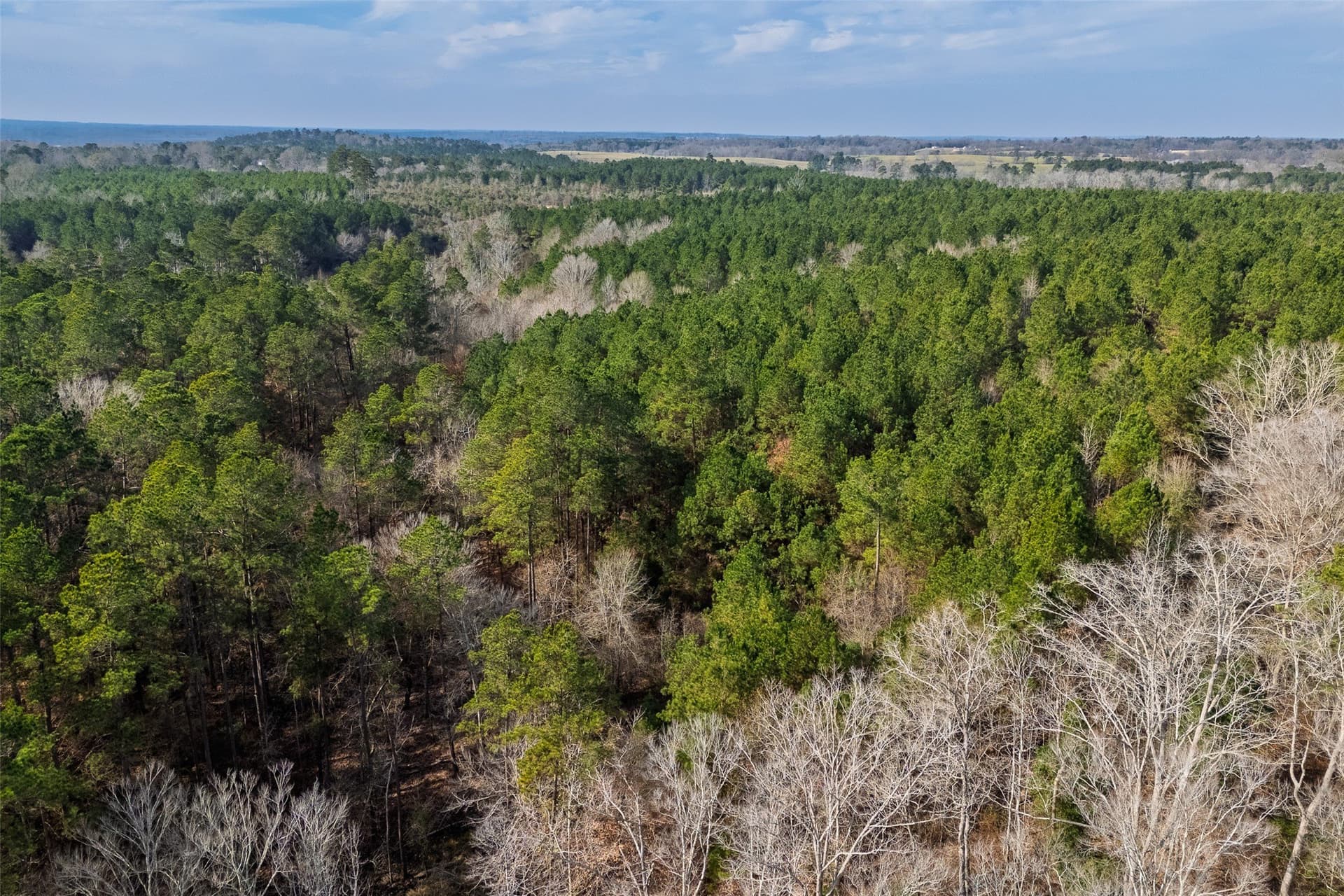 86.5 acres in Shelby County - photo 12
