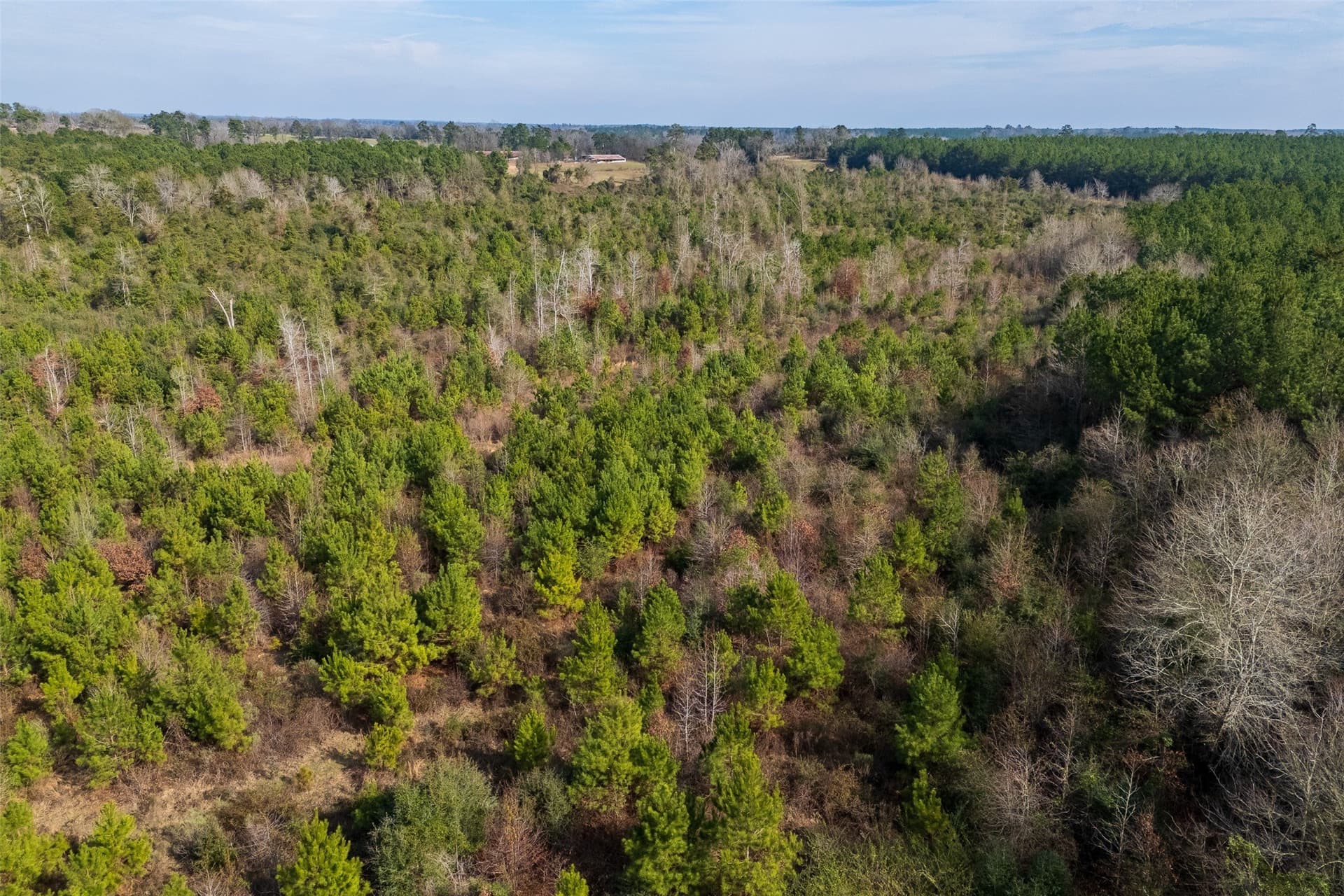 86.5 acres in Shelby County - photo 25