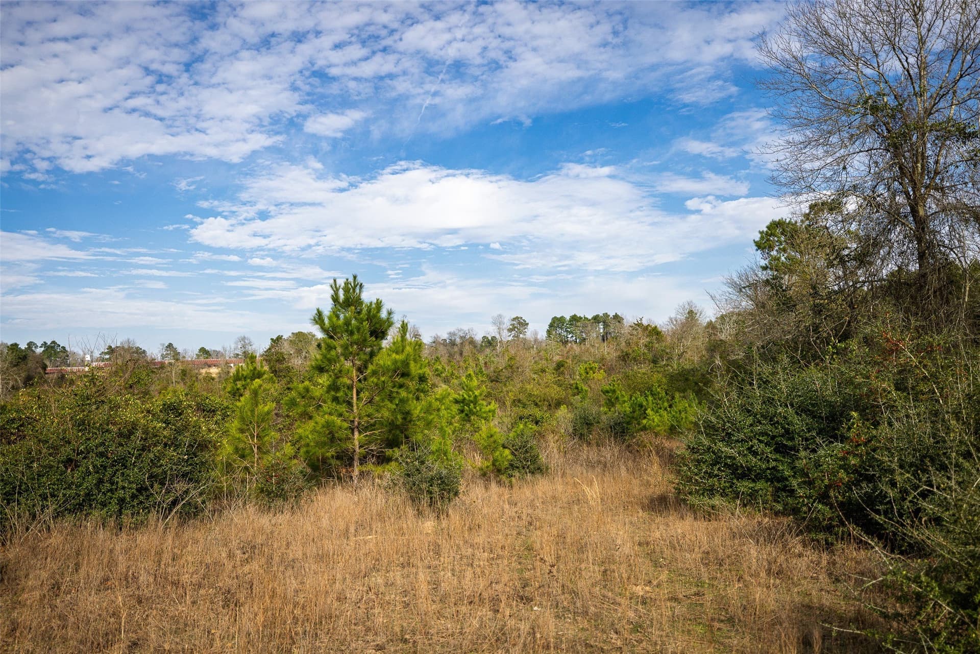 86.5 acres in Shelby County - photo 17