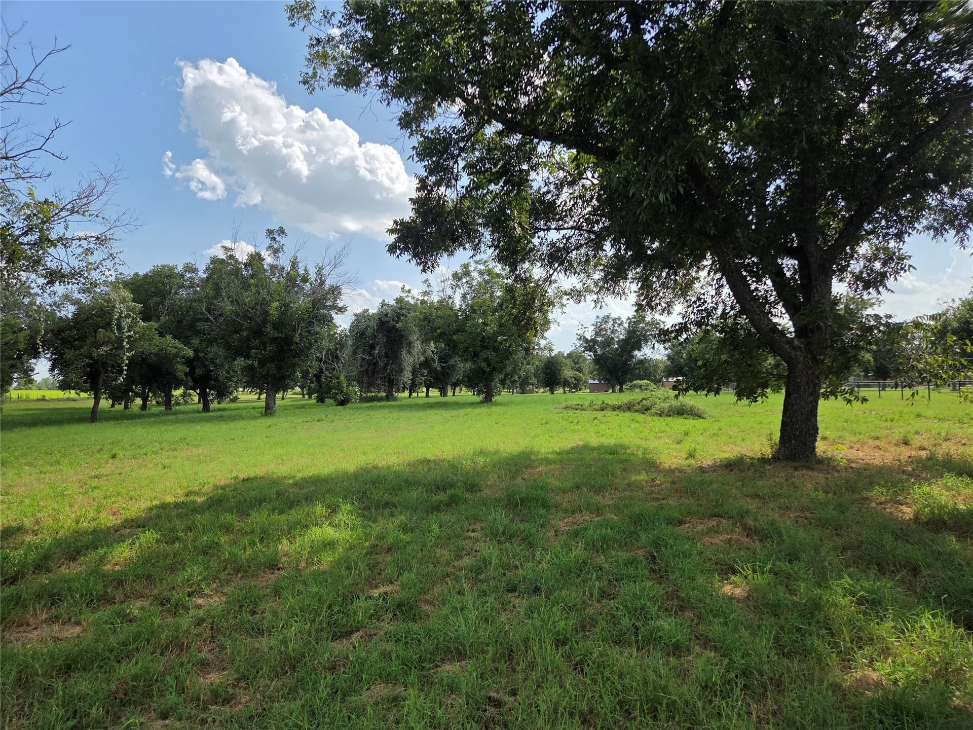 2.39 acres in Hood County - photo 3