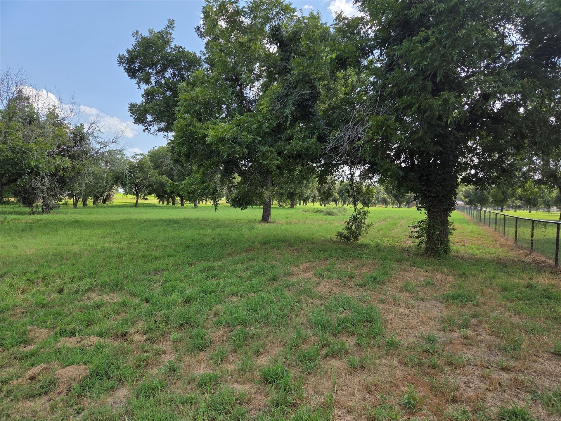 2.39 acres in Hood County - photo 4