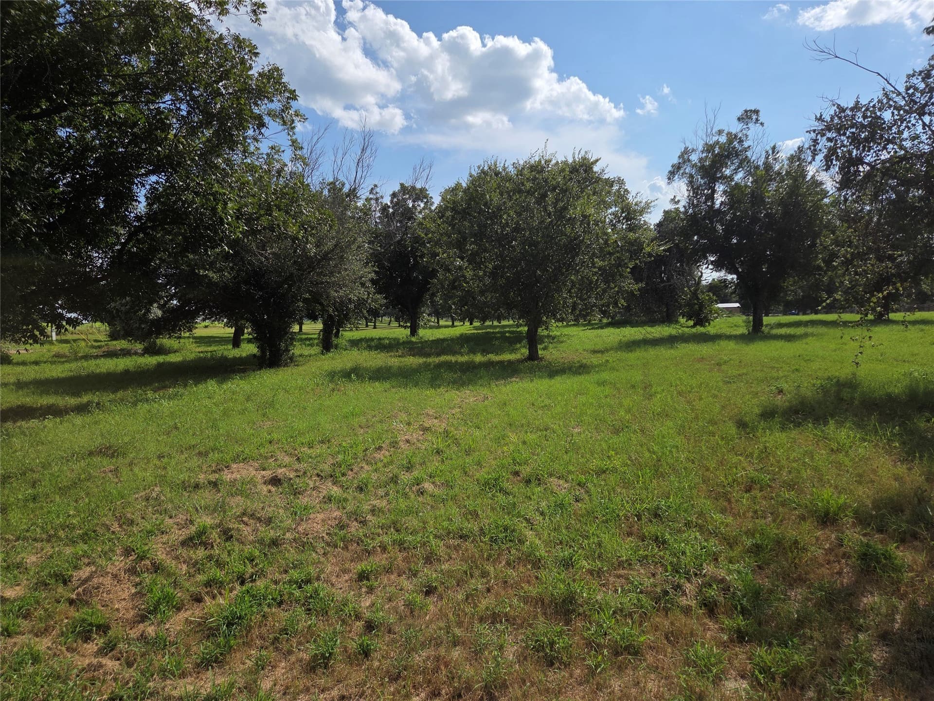 2.39 acres in Hood County - photo 11