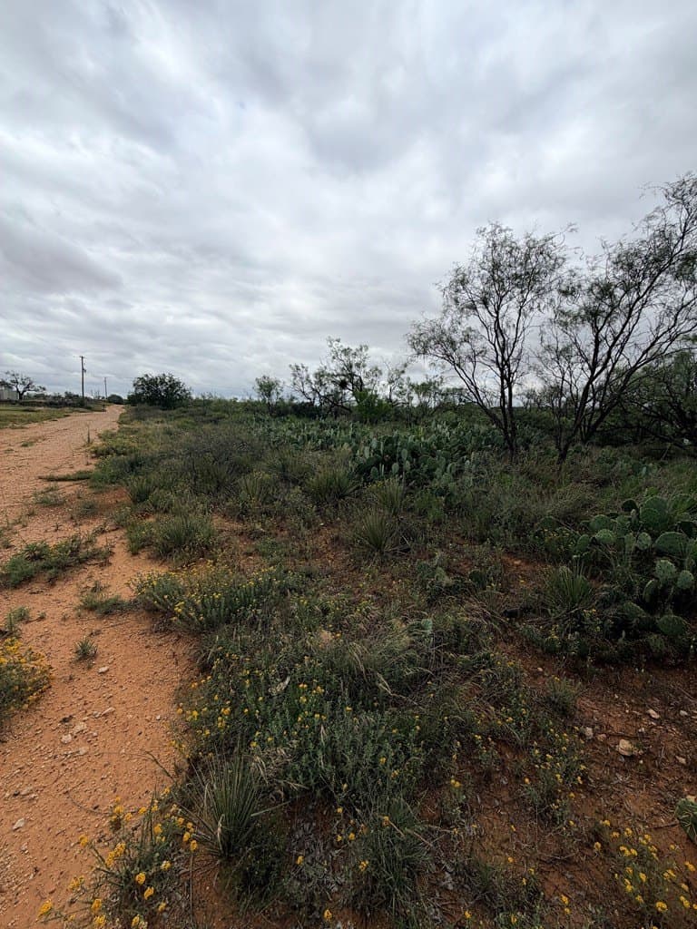 0.96 acres in Mitchell County gallery image 2