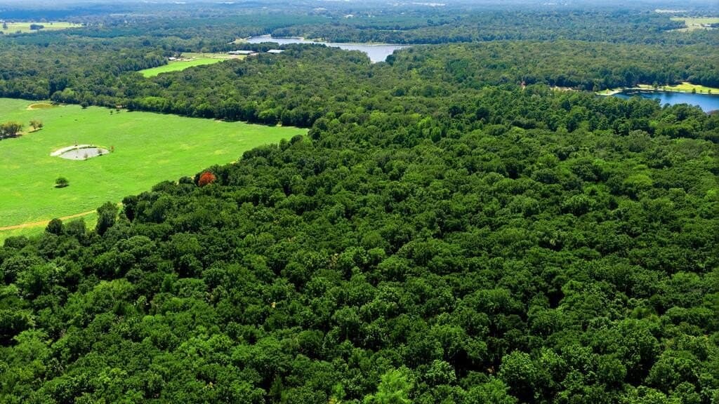 19.49 acres in Henderson County - photo 8