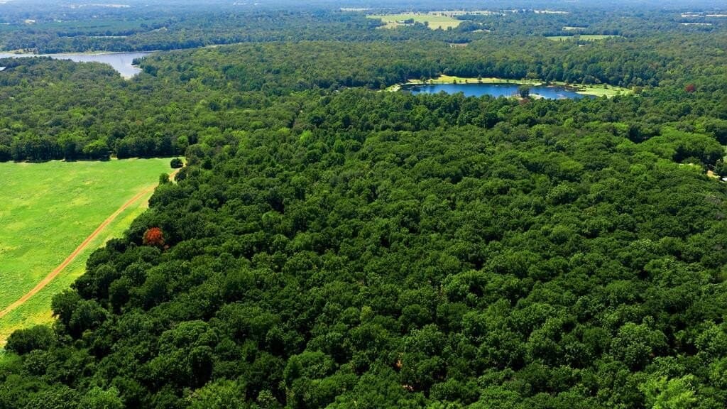 19.49 acres in Henderson County - photo 6