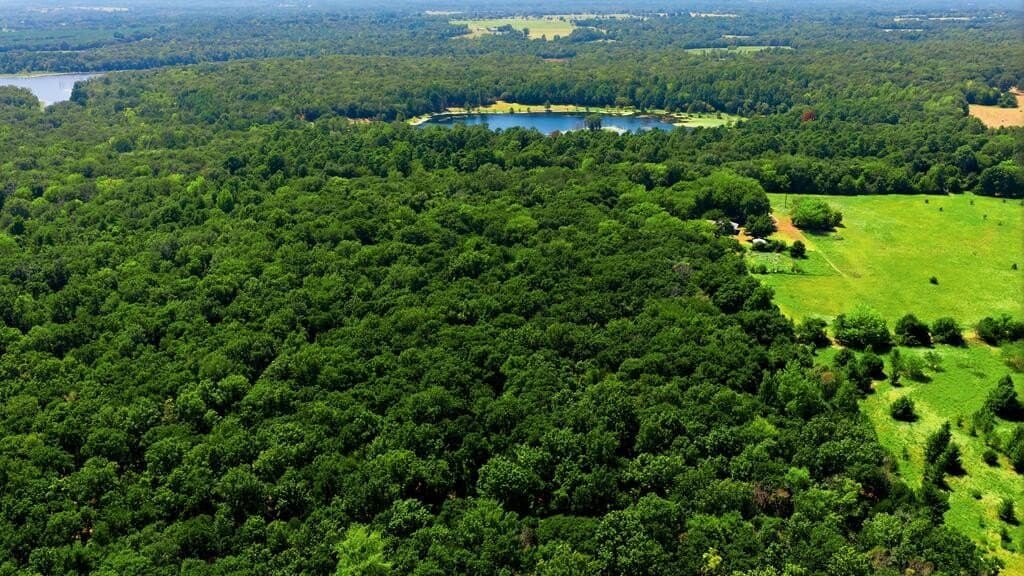 19.49 acres in Henderson County - photo 7