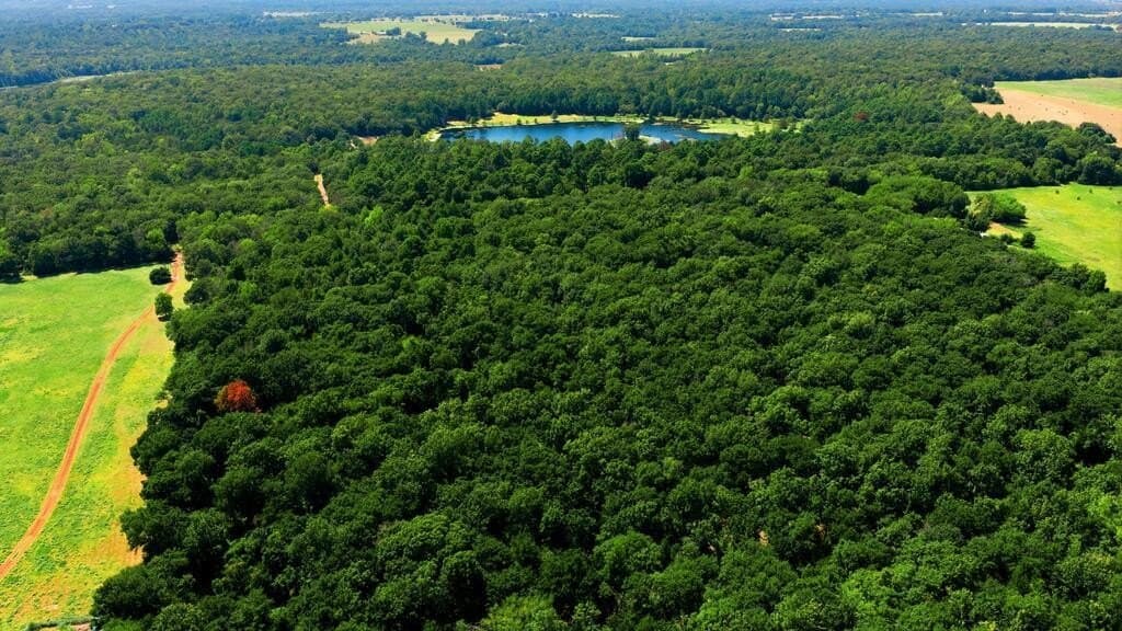 19.49 acres in Henderson County - photo 5