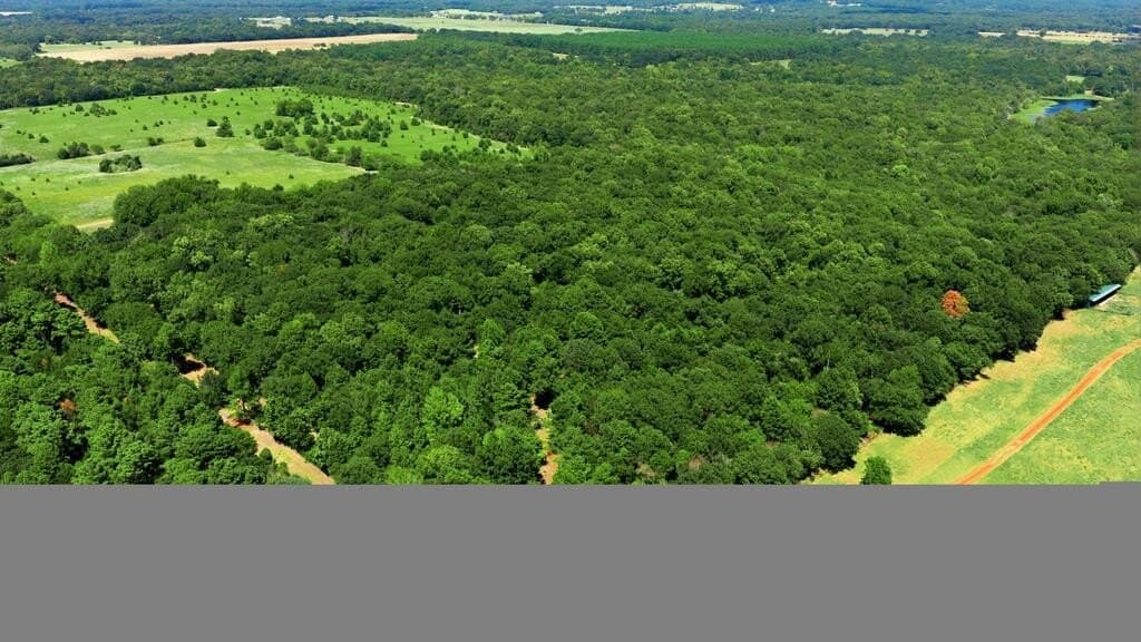 19.49 acres in Henderson County - photo 2