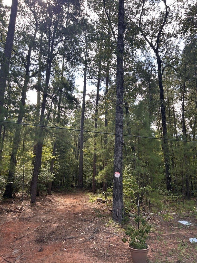 0.61 acres in Texas County gallery image 2