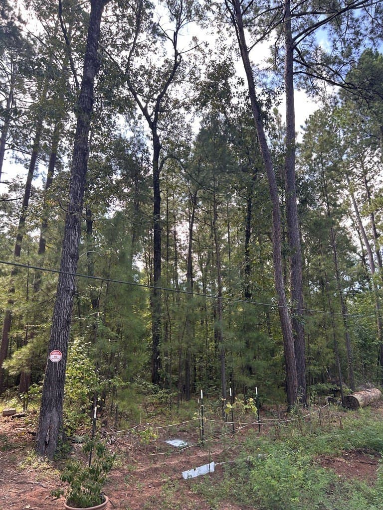 0.61 acres in Texas County gallery image 3